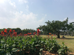 海南 153-万绿园