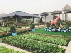 -可可天空农场(东部新城银泰店)