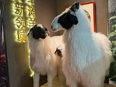 -百草滩羊清水涮羊肉·清真·宁夏盐池滩羊(莲花桥店)
