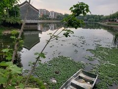 -雨湖公园