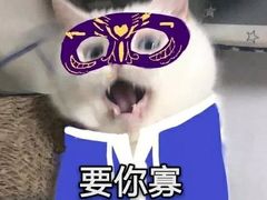 -华莱士·全鸡汉堡(五爱道店)