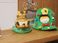 -MOCHA明星猫咖(田子坊店)