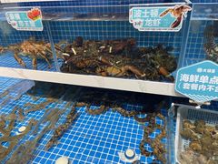 -大锅强·蒸海鲜青岛菜(吾悦广场店)