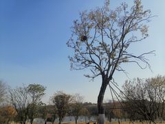 -盘龙城国家考古遗址公园