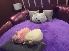 -聚星影咖