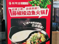 -新辣道鱼火锅(西直门店)