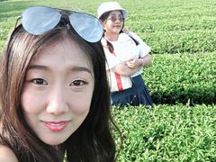 -雪绿茶博物馆