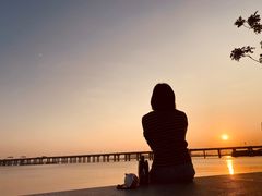 -宝安西湾红树林湿地公园