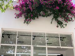 -收获咖啡HARVEST RESERVE(苍山店)