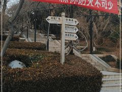 -蓬莱阁景区
