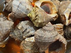 -柴火灶·传统莆田菜·农家乐(莆田总店)