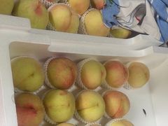 -南汇新场正宗水蜜桃采摘