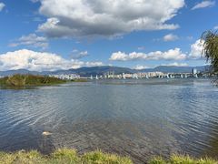 -洱海月湿地公园