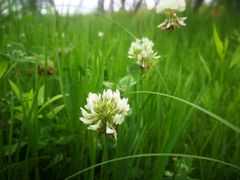 -白鹭湾湿地公园