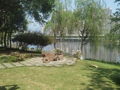-琴亭湖公园