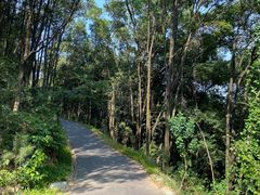 -广州市白云山风景名胜区