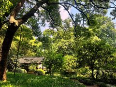 -杭州植物园