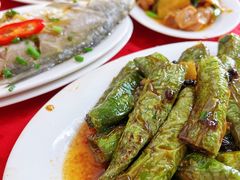 -蛇口康乐快餐鱼仔档(翠苑小区店)
