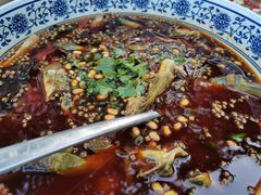 黄辣丁-青城甲(青城山店)