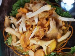 -菌海森林·非遗野生菌火锅(西山区滇池路摩根道店)