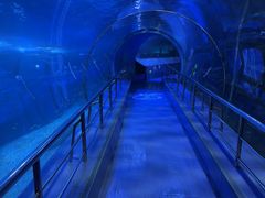 -太平洋海底世界