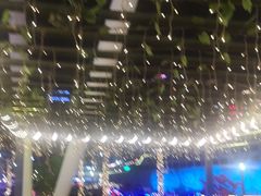 -Paulaner·德国帕拉娜自酿啤酒餐厅(海上世界店)