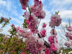 -饺满天下·水饺(大唐西市店)
