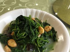 桑芽-茗荔园农庄(大涌店)