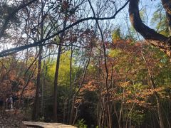 -采石矶景区