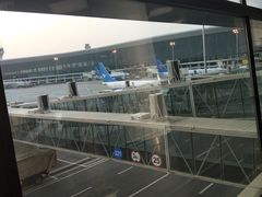 -郑州新郑国际机场