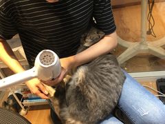 -Pets First伊珊娜洗护·精致美容·家庭式寄养(新会路店)
