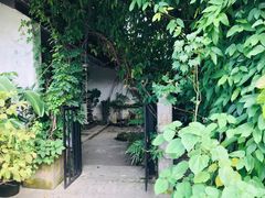 -植觉