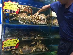 -蚝专家(北滘店)