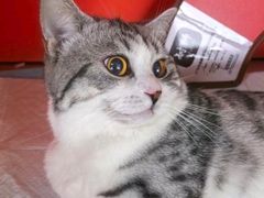 -瑞派福兴宠物医院犬猫全科·骨科·中西医结合(河东店)