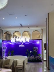 -深圳美莱医疗美容医院