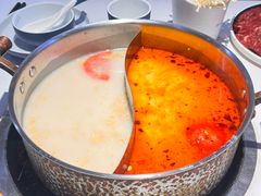-濠七糟粕醋•海南酸汤火锅(中关村店)