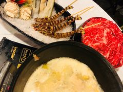 -鲜入围煮花胶鸡海鲜火锅