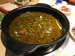 鲜椒锅-香坝坝鲜鱼火锅(春熙路店)