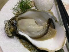 -無鱼鳞比