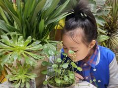 -云里小坐·小院里·团建·宴请·下午茶(三圣乡店)