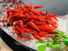 -毗陵醉·黑钻(湖塘店)