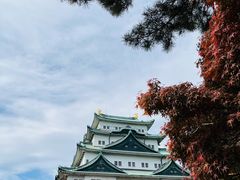 -名古屋城