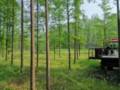 -黄海国家森林公园