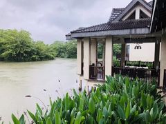-太极禅苑