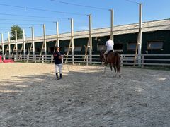 -北京群众马术培训基地