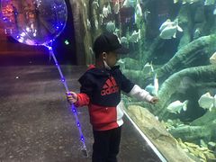 -哈尔滨波塞冬海底世界