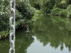 -天鹅湖体育公园