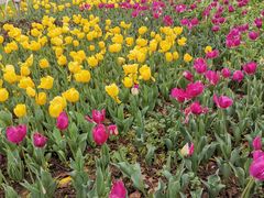 -玄武湖景区-情侣园游乐场