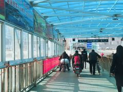 -武汉关码头(轮渡站)