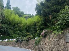 -莫干山风景区